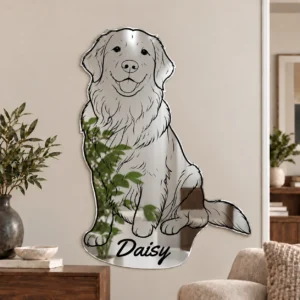 01-daisy-one-piece-featured Custom Line Art Mirror