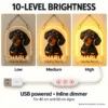 dachshund-02-charlie-arch-08-brightness-v5 Charlie Arch Custom Dachshund LED Neon Sign – Personalized Pet Photo Wall Art