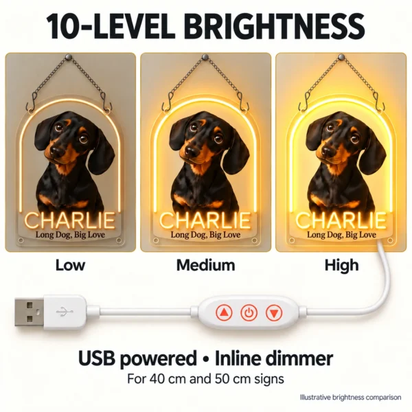 dachshund-02-charlie-arch-08-brightness-v5 Charlie Arch Custom Dachshund LED Neon Sign – Personalized Pet Photo Wall Art