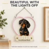dachshund-04-bella-heart-03-daylight-v5 Bella Heart Custom Dachshund LED Neon Sign – Personalized Pet Photo Wall Art