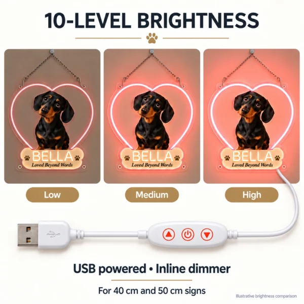dachshund-04-bella-heart-08-brightness-v5 Bella Heart Custom Dachshund LED Neon Sign – Personalized Pet Photo Wall Art