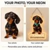 Frankie Glowing Collar Custom Dachshund LED Neon Sign – Personalized Pet Photo Wall Art