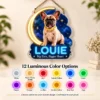french-06-louie-celestial-06-color-options-color-v2 Louie Celestial Custom French Bulldog LED Neon Sign – Personalized Pet Photo Wall Art