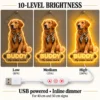golden-01-buddy-outline-08-brightness-20260923 Buddy Outline Custom Golden Retriever LED Neon Sign – Personalized Pet Photo Wall Art