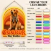 golden-02-cooper-sunset-06-color-options-20260923 Cooper Sunset Arch Custom Golden Retriever LED Neon Sign – Personalized Pet Photo Wall Art