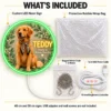 golden-03-teddy-botanical-05-included-20260923 Teddy Botanical Custom Golden Retriever LED Neon Sign – Personalized Pet Photo Wall Art