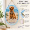 golden-05-bailey-coastal-03-daylight-20260923 Bailey Coastal Custom Golden Retriever LED Neon Sign – Personalized Pet Photo Wall Art