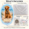 golden-05-bailey-coastal-05-included-20260923 Bailey Coastal Custom Golden Retriever LED Neon Sign – Personalized Pet Photo Wall Art