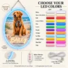 golden-05-bailey-coastal-06-color-options-20260923 Bailey Coastal Custom Golden Retriever LED Neon Sign – Personalized Pet Photo Wall Art