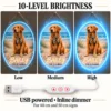 golden-05-bailey-coastal-08-brightness-20260923 Bailey Coastal Custom Golden Retriever LED Neon Sign – Personalized Pet Photo Wall Art