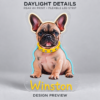 Custom Photo LED Neon Sign – Personalized Acrylic Wall Art