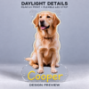 Custom Labrador LED Neon Sign – Personalized Pet Photo Wall Art