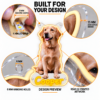 Custom Labrador LED Neon Sign – Personalized Pet Photo Wall Art