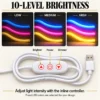 shared 08 10 level dimmer Custom Neon Wall Art — 10-level inline brightness controller