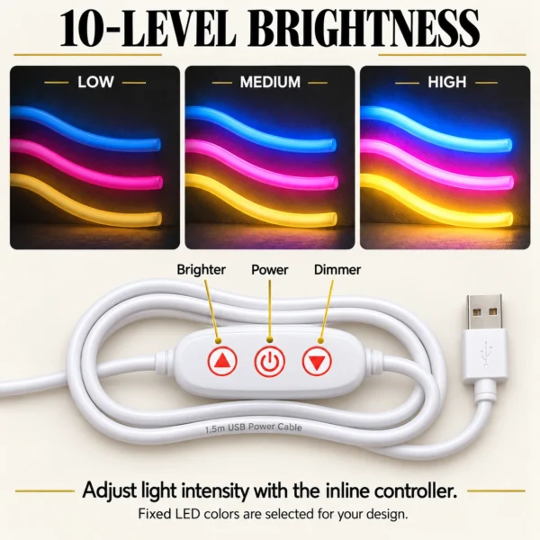 shared 08 10 level dimmer Custom Neon Wall Art — 10-level inline brightness controller